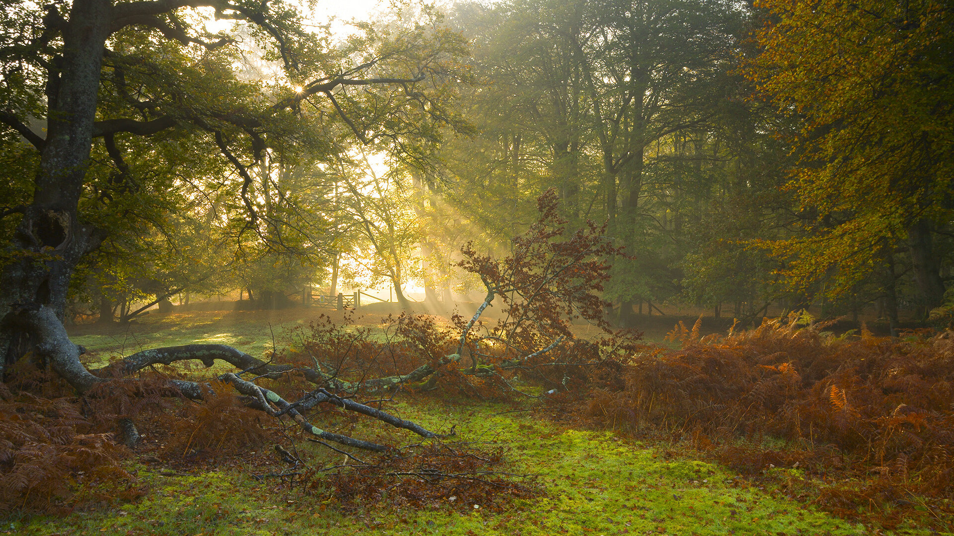 快船与航天公司合作发布球队专属卫星图像，快船签约正式达成