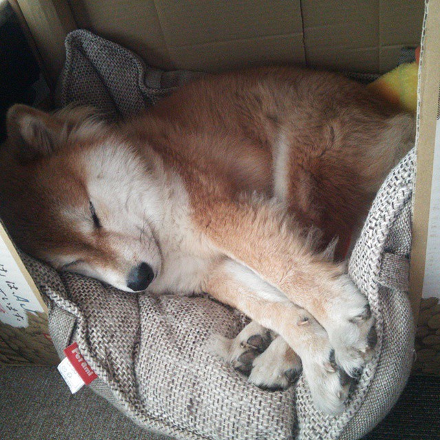 开云官方网页登录-_网球联盟推新赛制，激发赛事观赏性和竞争性_，网球职业联盟