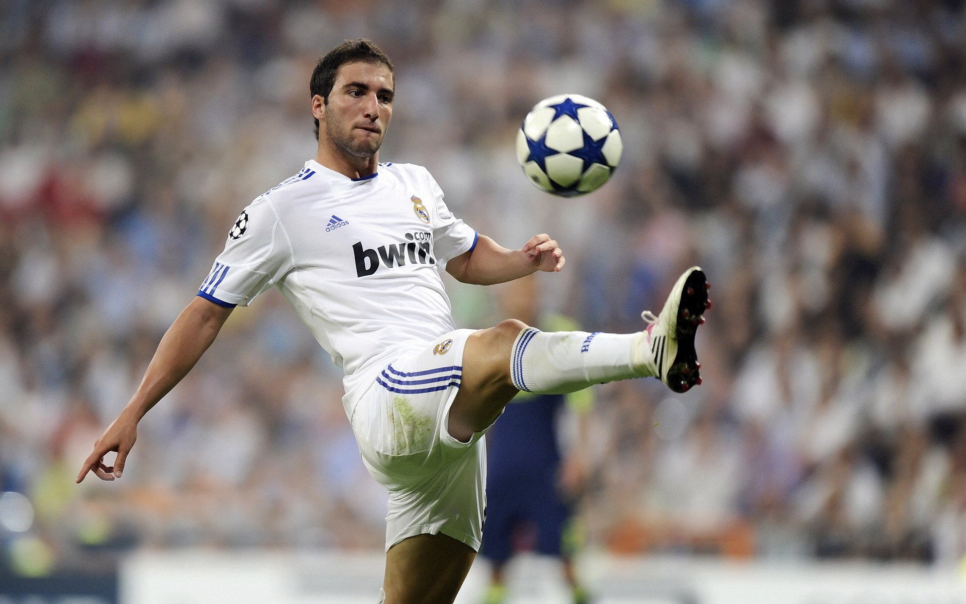 开云官方网站-弗朗索瓦·斯图尔特：反击的发起者，带领南非队突破敌方防线，弗朗索瓦德尔萨特